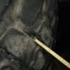 Bridgestone 650/65 R 25 ja vanteet - Purkukolmio.fi