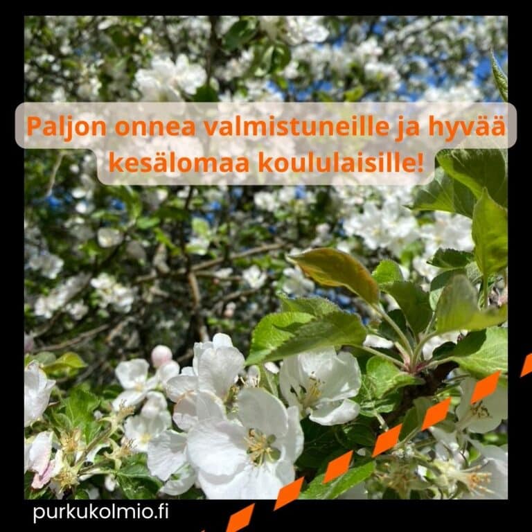 Onnea valmistuneille - Purkukolmio.fi